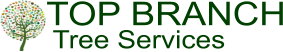 TOP BRANCH Tree Services